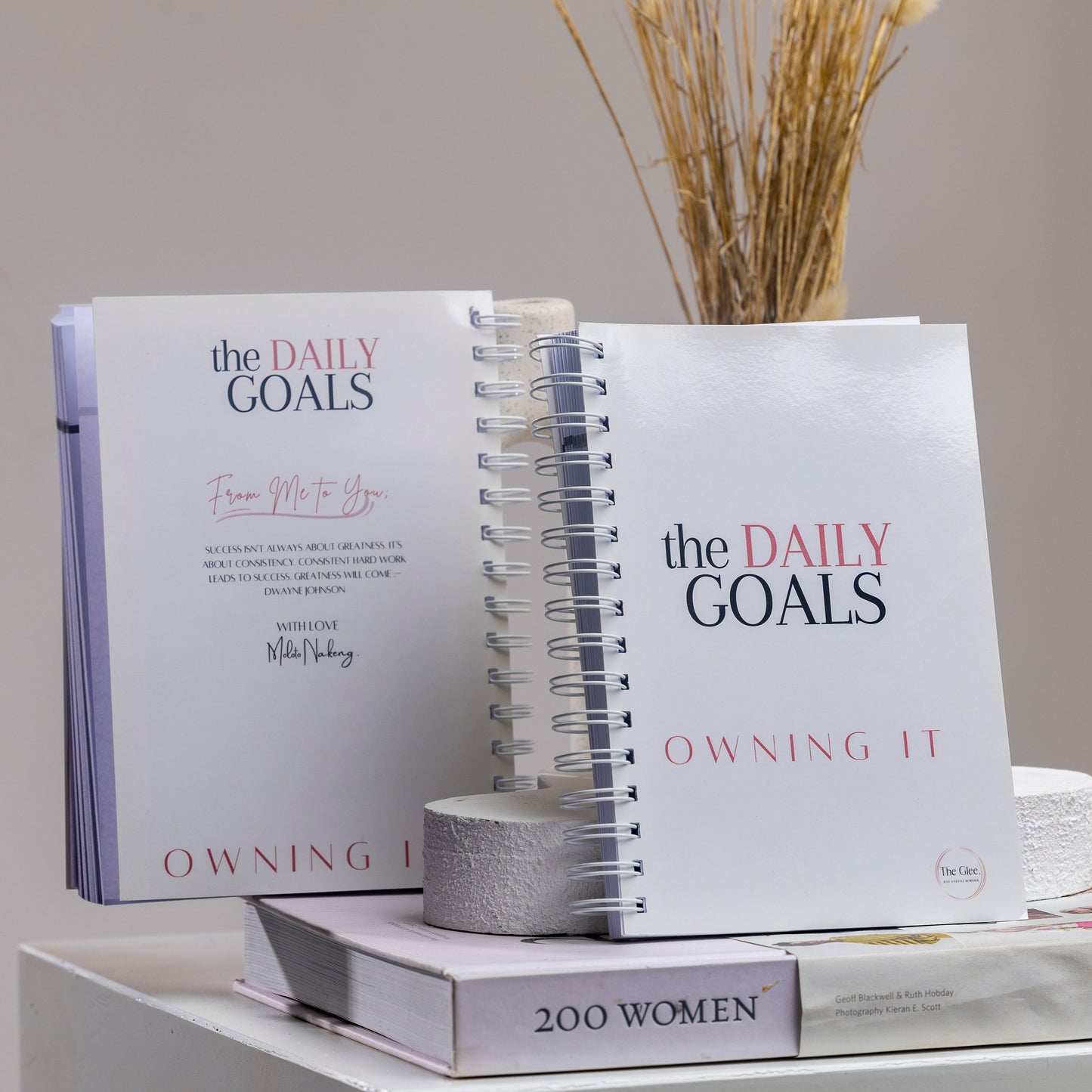 Daily Goals Diary